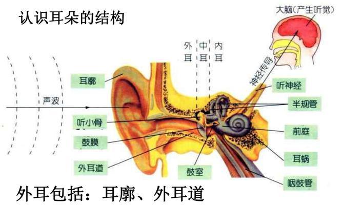 《以人体工厂听觉车间》通关技巧（如何在游戏中轻松过关）